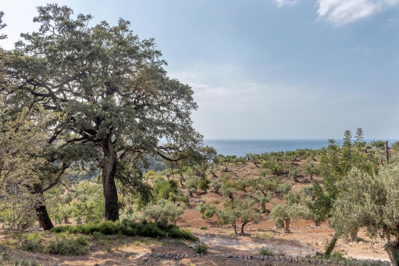 Deia Semi-Detached Sunny Country House, Near Gr221 Dış mekan fotoğraf