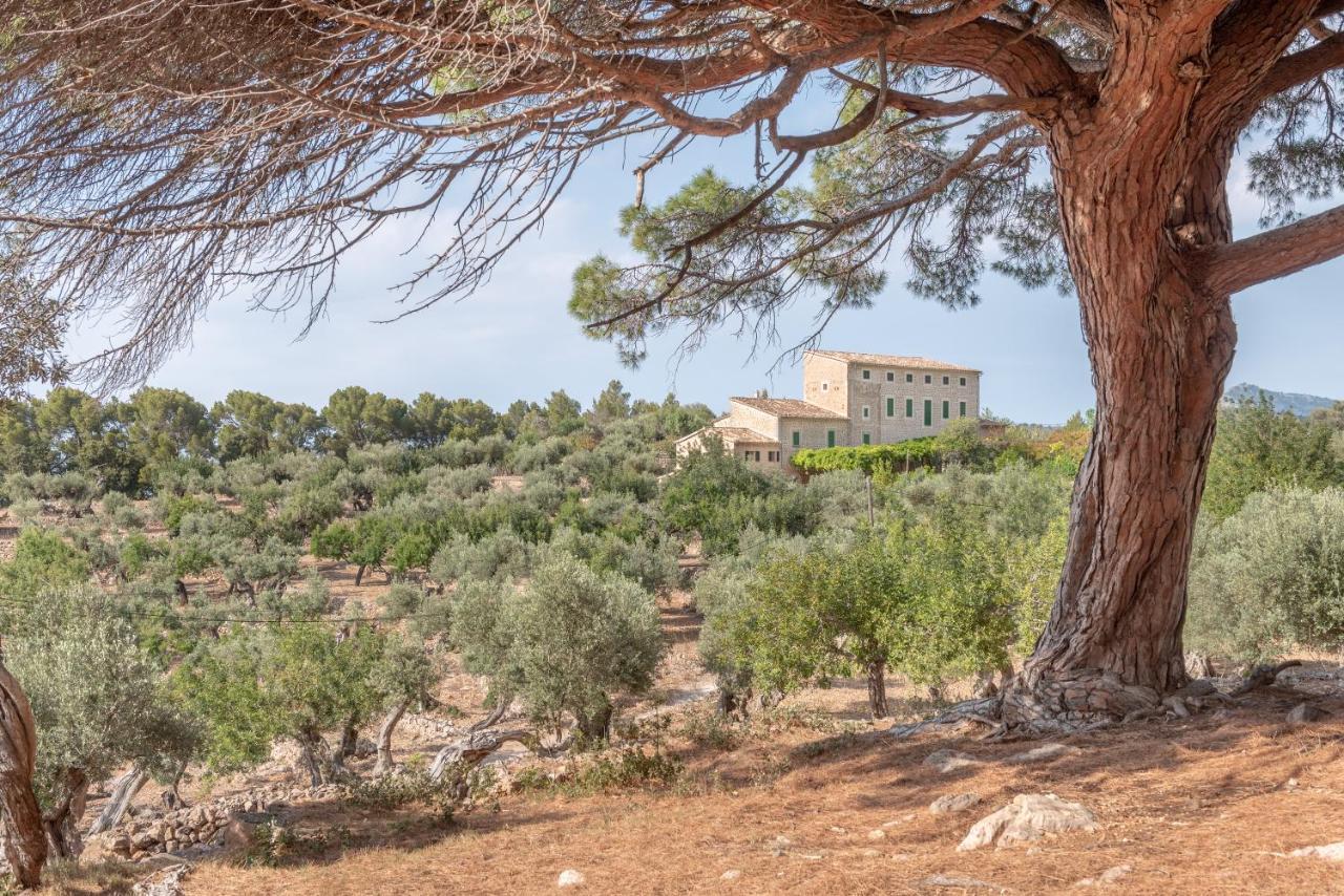 Deia Semi-Detached Sunny Country House, Near Gr221 Dış mekan fotoğraf